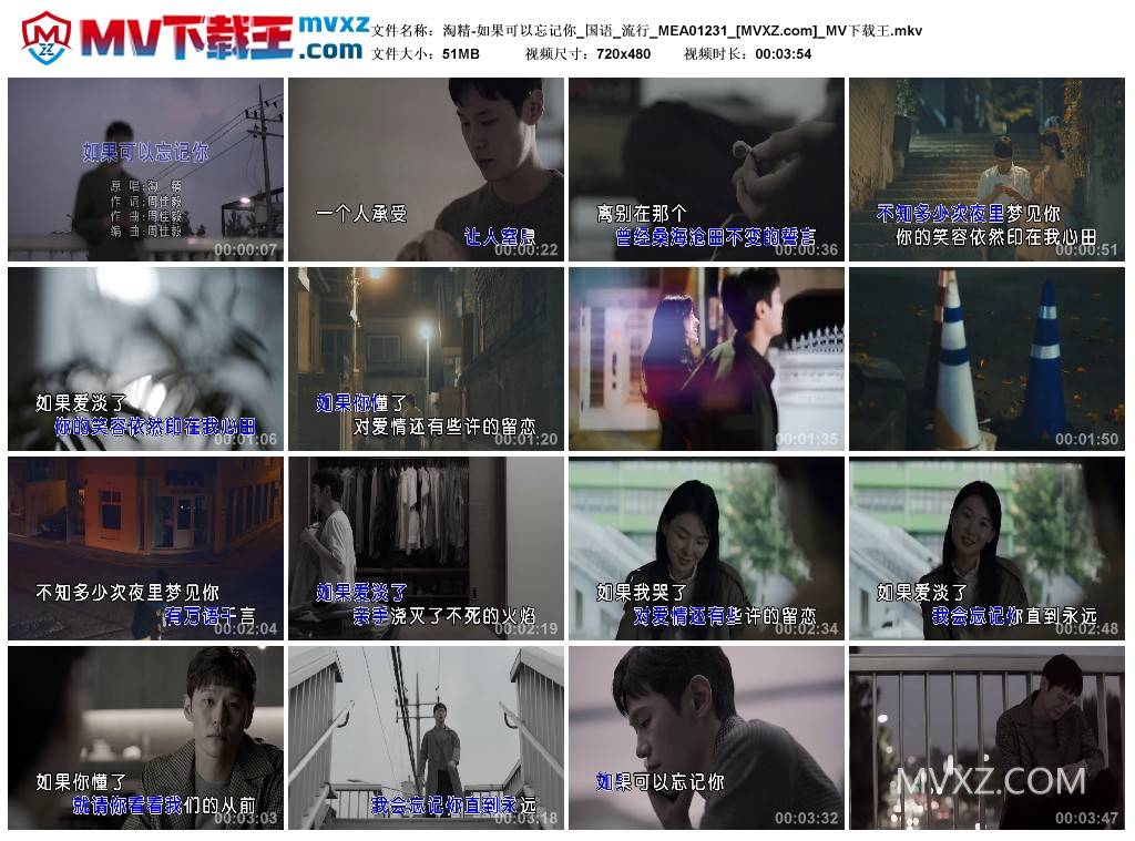 淘精-如果可以忘记你_国语_流行_MEA01231